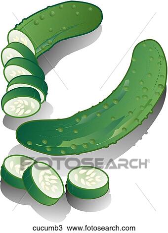 Drawing - Cucumbers-Shadows. Fotosearch