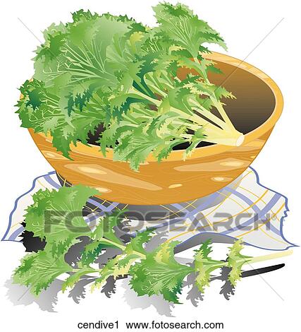 Clip Art - Curly Endive-Composition. Fotosearch