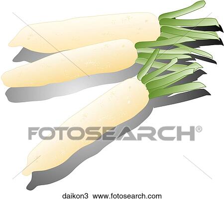 Daikon-Shadows View Large Illustration Drawing - Daikon-Shadows. Fotosearch