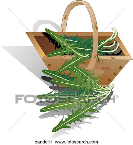 Clip Art - Dandelion Greens-Composition. Fotosearch