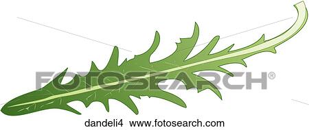 Dandelion Greens-One View Large Illustration Stock Illustration - Dandelion Greens-One. Fotosearch