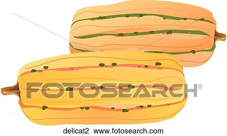 Drawing - Delicata Squash. Fotosearch