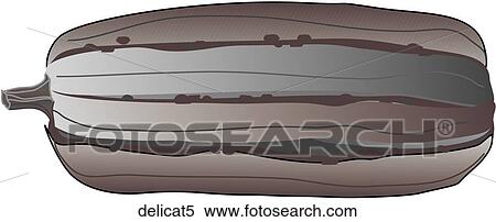 Stock Illustration - Delicata Squash-One B&W. Fotosearch