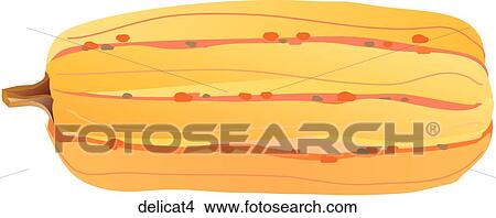 Stock Illustration - Delicata Squash-One. Fotosearch