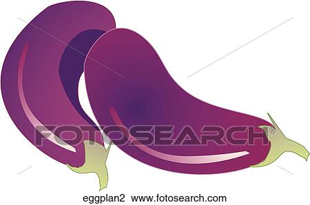 Drawing - Eggplant. Fotosearch