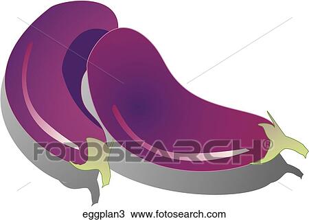 Drawing - Eggplant-Shadows. Fotosearch
