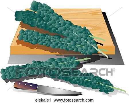 Elephant Kale-Composition View Large Illustration Clip Art - Elephant Kale-Composition. Fotosearch
