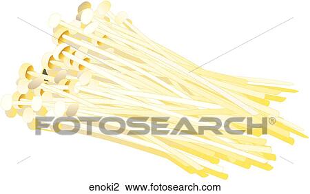 Drawing - Enoki Mushrooms. Fotosearch