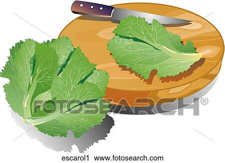 Clip Art - Escarole-Composition. Fotosearch