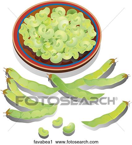 Clip Art - Fava Beans-Composition. Fotosearch