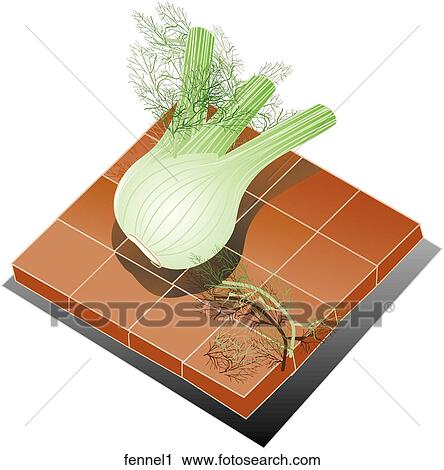 Fennel-Composition View Large Illustration Clip Art - Fennel-Composition. Fotosearch