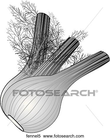 Stock Illustration - Fennel-One B&W. Fotosearch