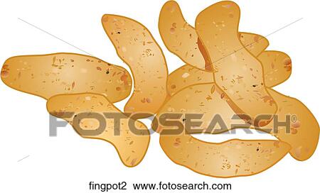 Fingerling Potatoes View Large Illustration Drawing - Fingerling Potatoes. Fotosearch