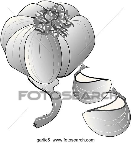Stock Illustration - Garlic-One B&W. Fotosearch