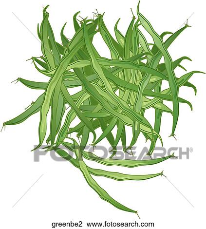 Green Beans View Large Illustration Drawing - Green Beans. Fotosearch
