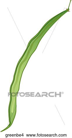 Green Beans-One View Large Illustration Stock Illustration - Green Beans-One. Fotosearch