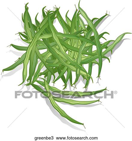 Green Beans-Shadows View Large Illustration Drawing - Green Beans-Shadows. Fotosearch