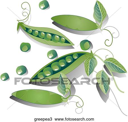 Green Peas-Shadows View Large Illustration Drawing - Green Peas-Shadows. Fotosearch