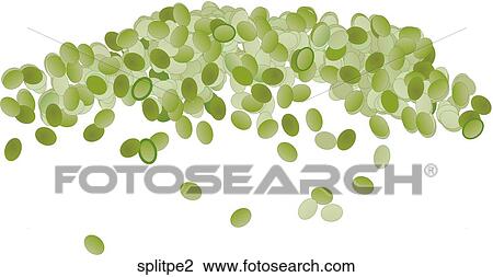 Green Split Peas View Large Illustration Drawing - Green Split Peas. Fotosearch