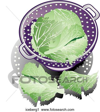 Clip Art - Iceberg Lettuce-Composition. Fotosearch
