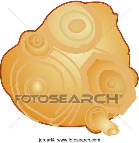 Stock Illustration - Jerusalem Artichokes-One. Fotosearch