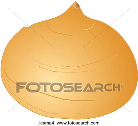 Jicama-One View Large Illustration Stock Illustration - Jicama-One. Fotosearch