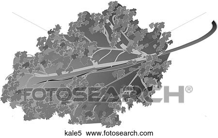 Kale-One B&W View Large Illustration Stock Illustration - Kale-One B&W. Fotosearch