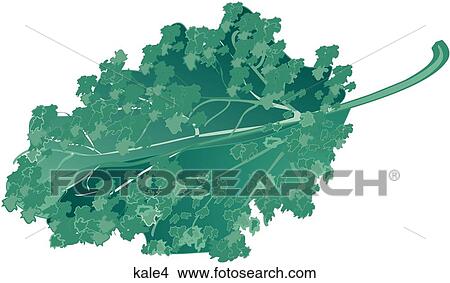 Stock Illustration - Kale-One. Fotosearch
