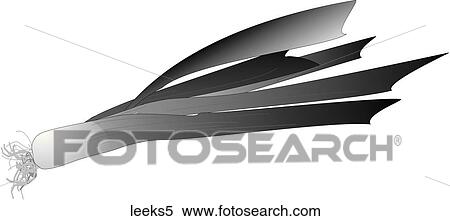 Stock Illustration - Leeks-One B&W. Fotosearch