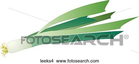 Stock Illustration - Leeks-One. Fotosearch
