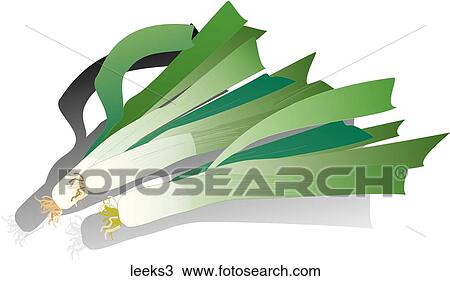Drawing - Leeks-Shadows. Fotosearch