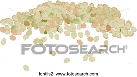 Drawing - Lentils. Fotosearch