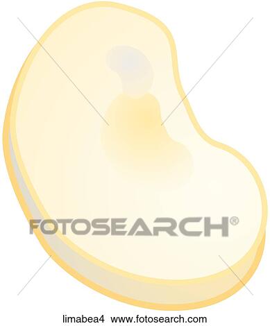 Lima Beans-One View Large Illustration Stock Illustration - Lima Beans-One. Fotosearch