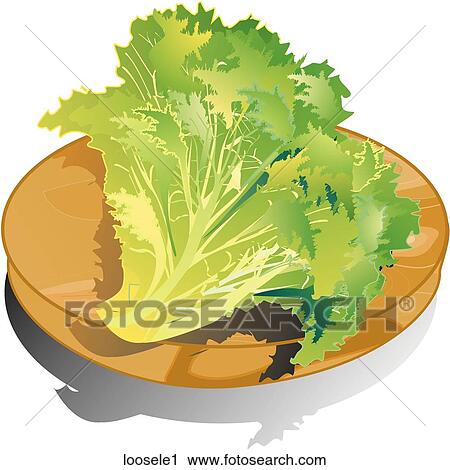 Loose Leaf Lettuce-Composition View Large Illustration Clip Art - Loose Leaf Lettuce-Composition. Fotosearch