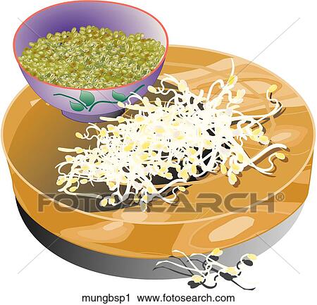 Clip Art - Mung Bean Sprouts-Composition. Fotosearch