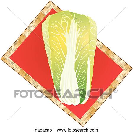 Clip Art - Napa Cabbage-Composition. Fotosearch