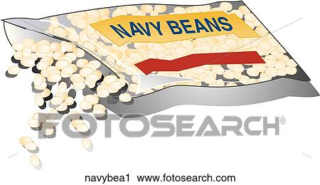 Clip Art - Navy Beans-Composition. Fotosearch