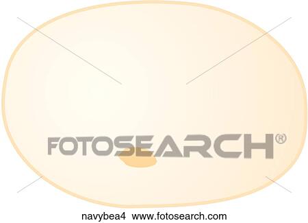 Navy Beans-One View Large Illustration Stock Illustration - Navy Beans-One. Fotosearch