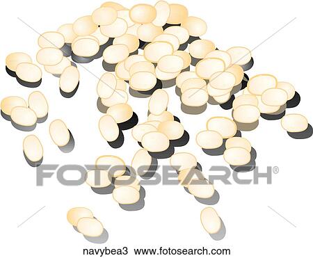 Drawing - Navy Beans-Shadows. Fotosearch