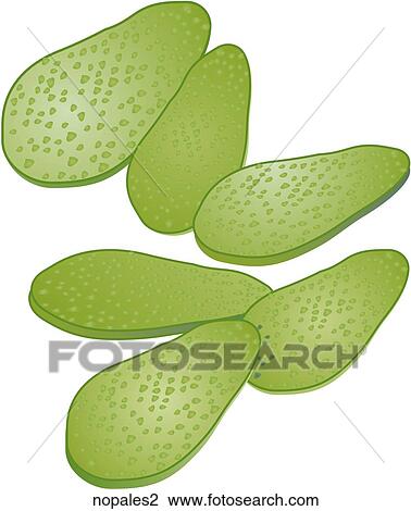 Drawing - Nopales. Fotosearch