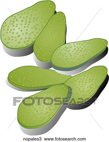 Drawing - Nopales-Shadows. Fotosearch