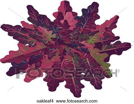 Stock Illustration - Oak Leaf Lettuce-One. Fotosearch