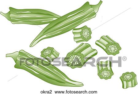 Okra View Large Illustration Drawing - Okra. Fotosearch