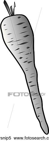 Stock Illustration - Parsnips-One B&W. Fotosearch