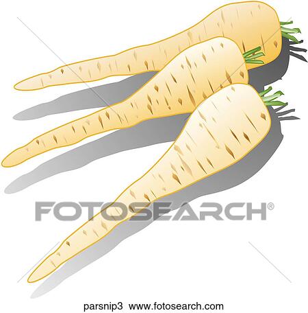 Drawing - Parsnips-Shadows. Fotosearch