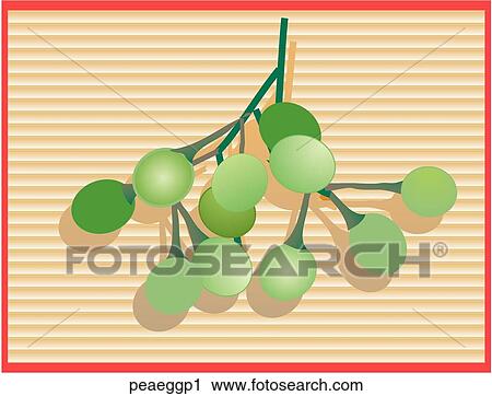 Pea Eggplant-Composition View Large Illustration Clip Art - Pea Eggplant-Composition. Fotosearch