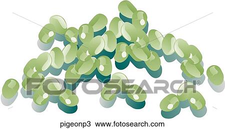 Pigeon Peas-Shadows View Large Illustration Drawing - Pigeon Peas-Shadows. Fotosearch