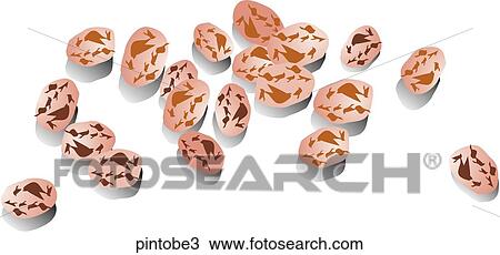 Drawing - Pinto Beans-Shadows. Fotosearch