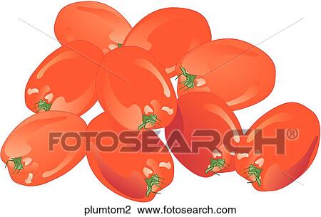 Drawing - Plum Tomatoes. Fotosearch
