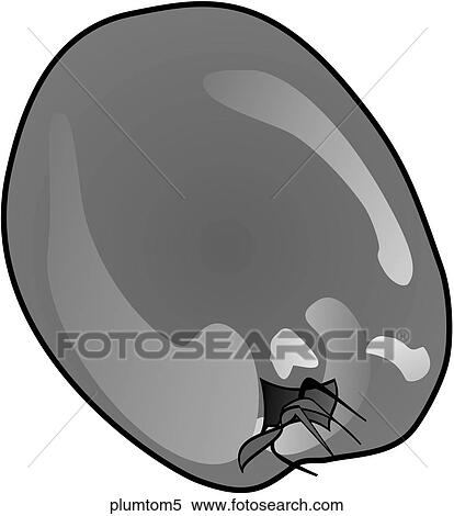 Stock Illustration - Plum Tomatoes-One B&W. Fotosearch